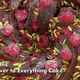 Image for article titled The Great British Baking Show gets sloppy, silly, and even more delicious in “Dairy Week”